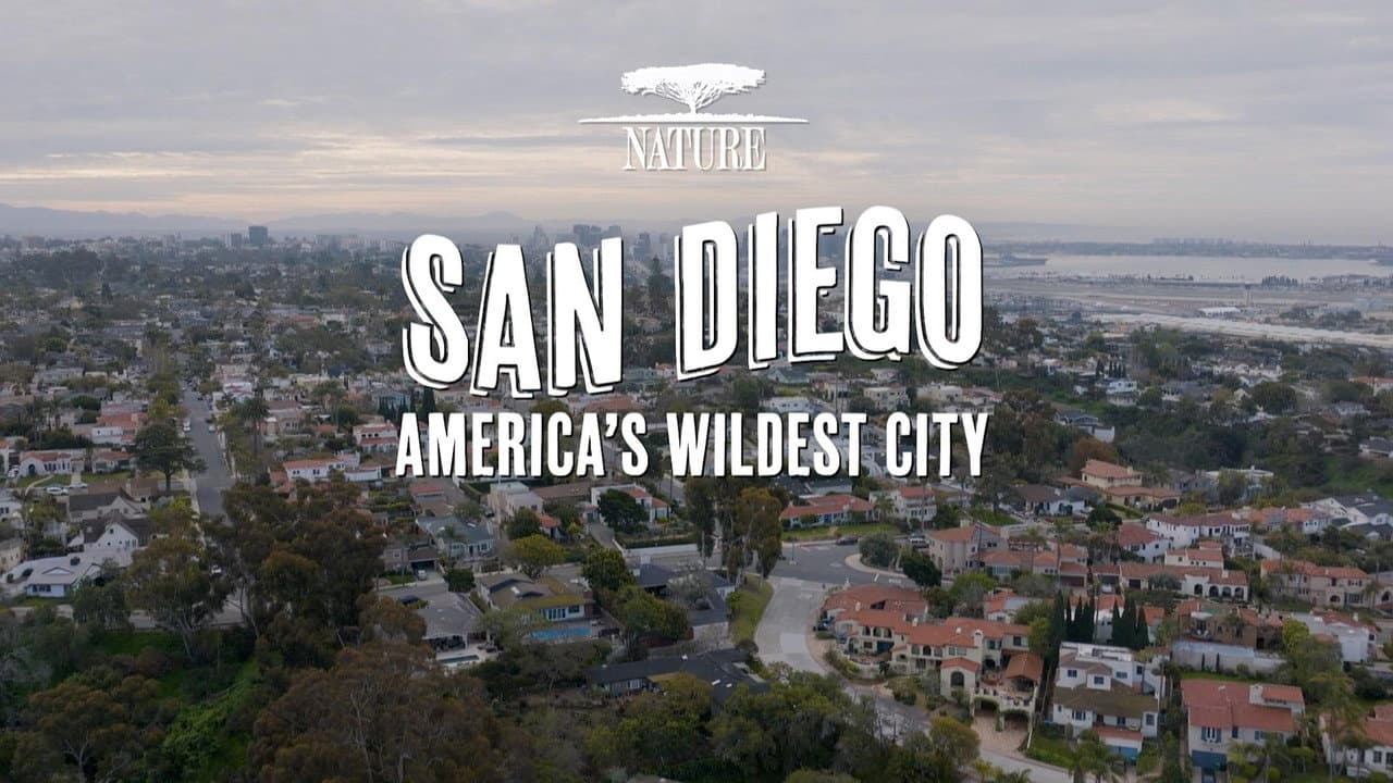 San Diego: America's Wildest City