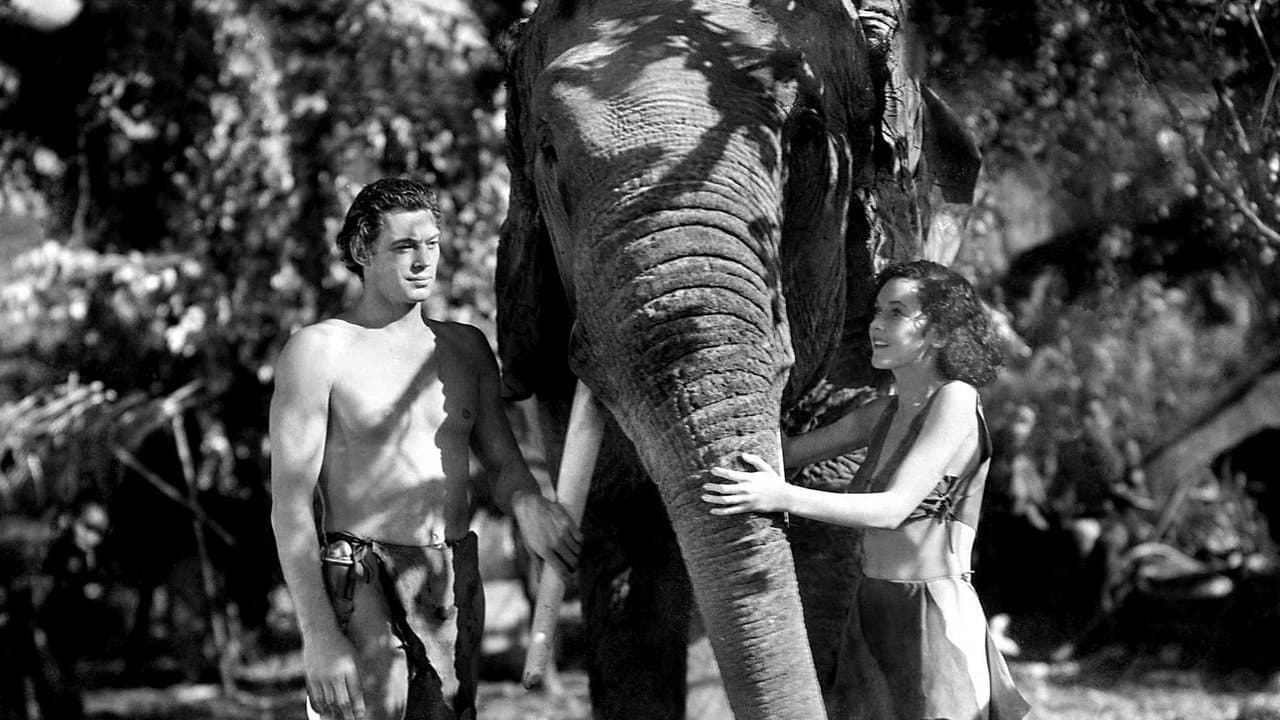 Tarzan ve Sevgilisi