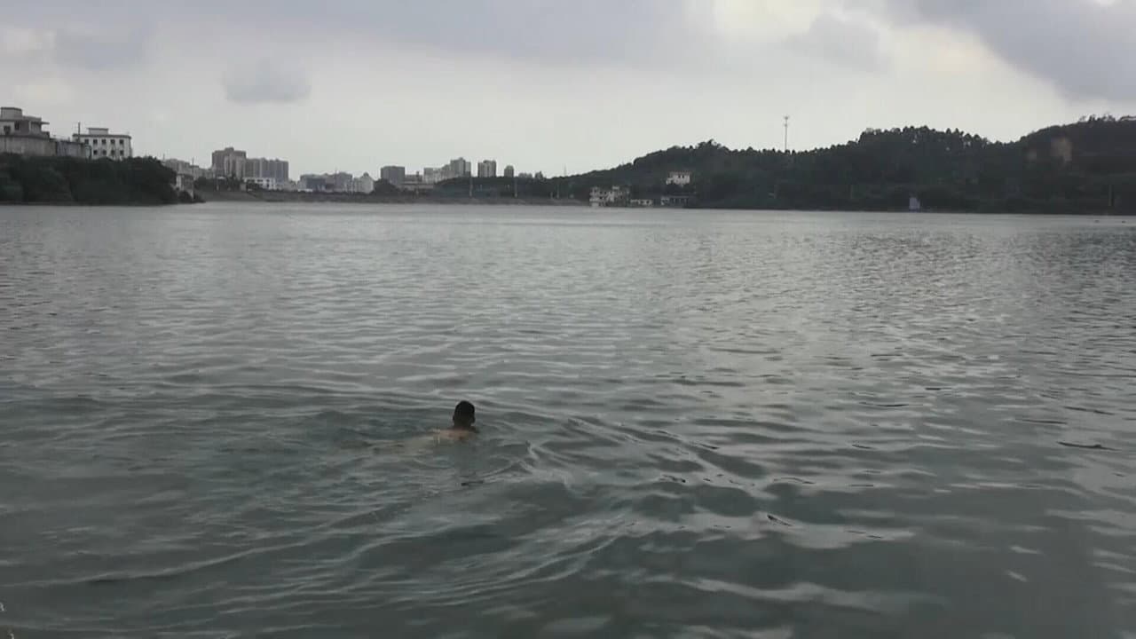 卤煮