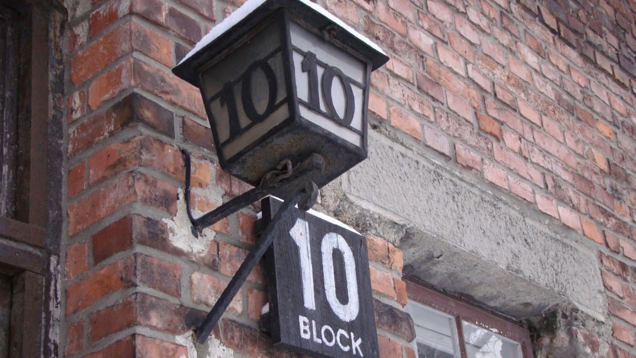 Medizinversuche in Auschwitz - Clauberg und die Frauen von Block 10