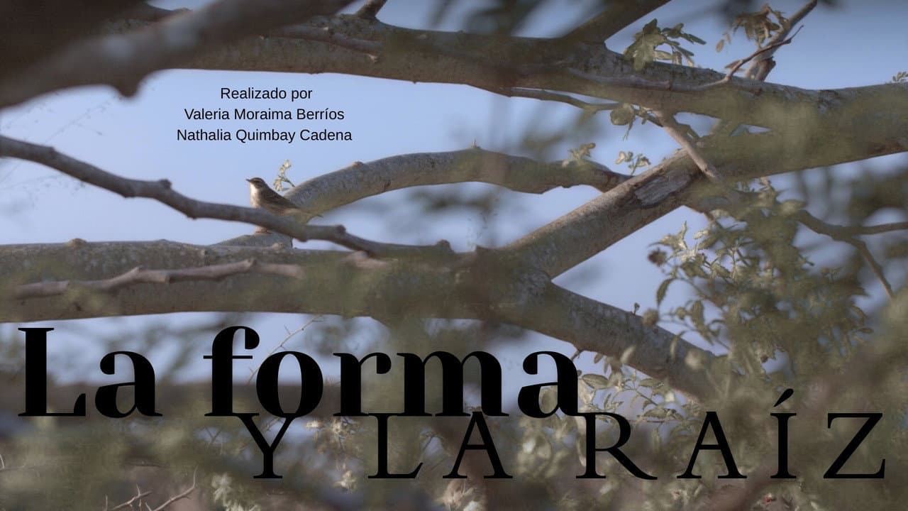 La forma y la raíz