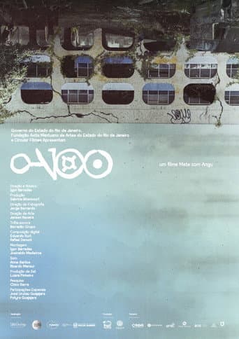 O Voo