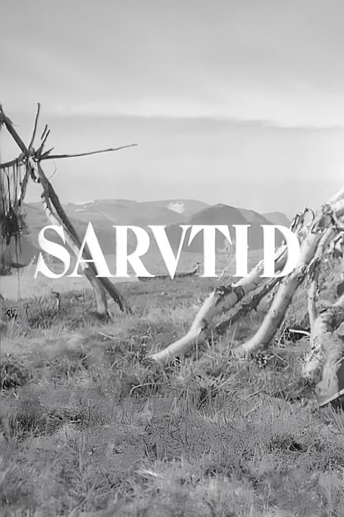Sarvtid