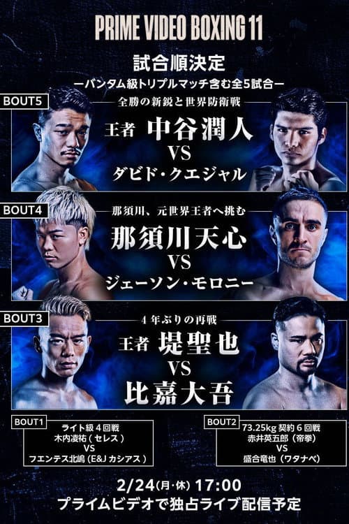 PRIME VIDEO BOXING 11