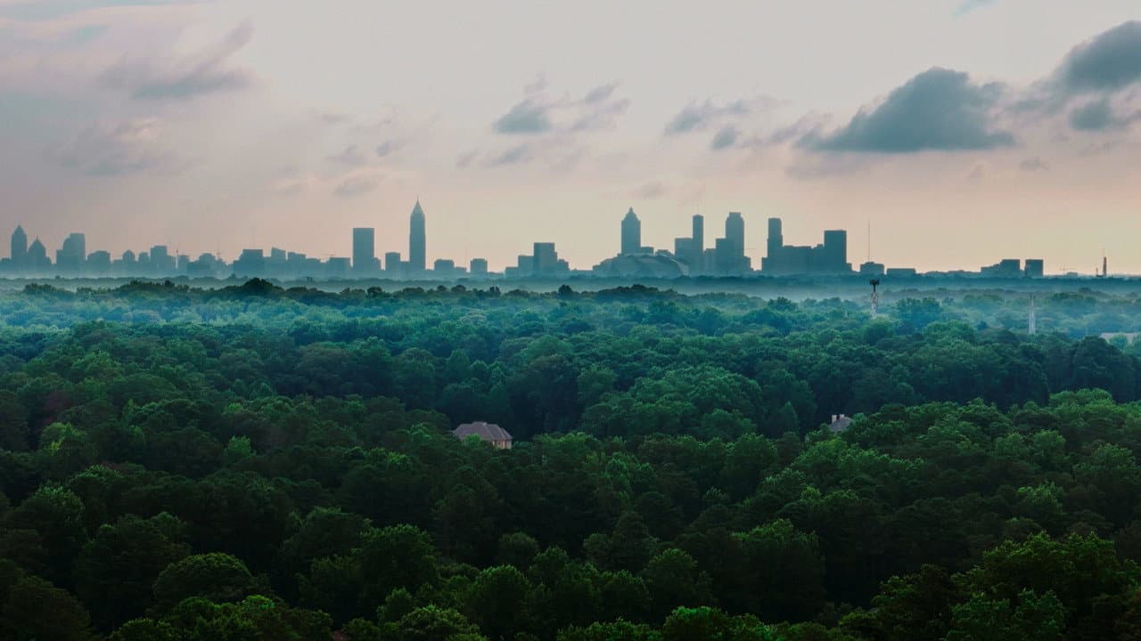 The Tree Economy