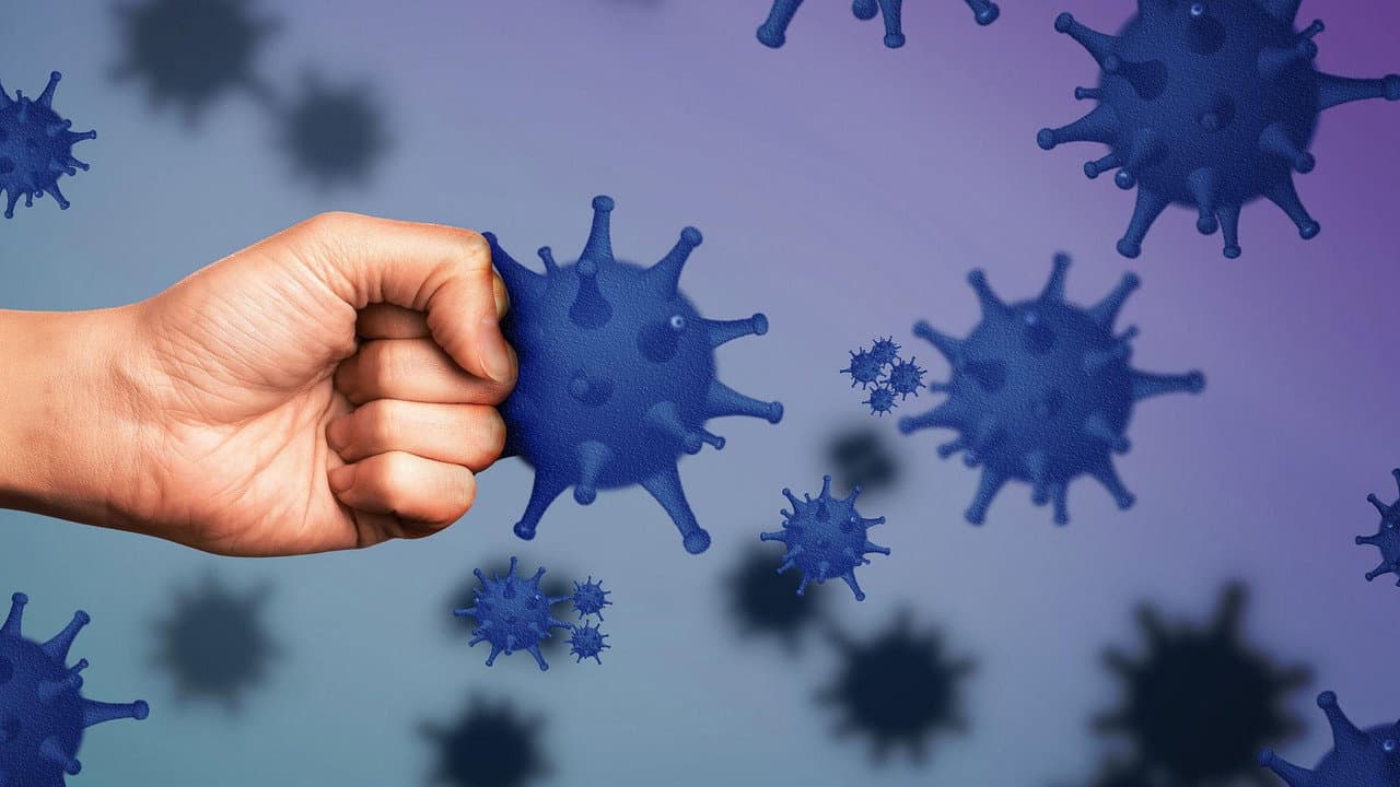 Unser Immunsystem - Wächter der Gesundheit
