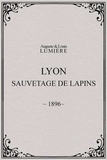 Lyon : sauvetage de lapins